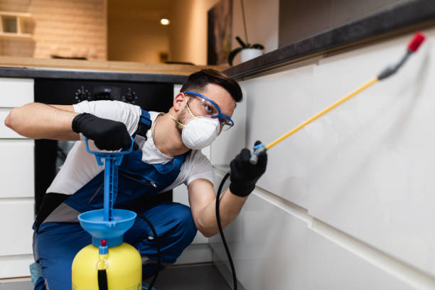 Best Termite Control Services  in El Dorado, KS