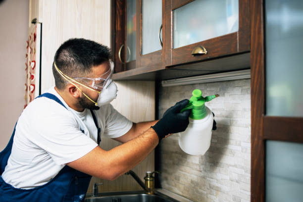 Best Cockroach Control Services  in El Dorado, KS