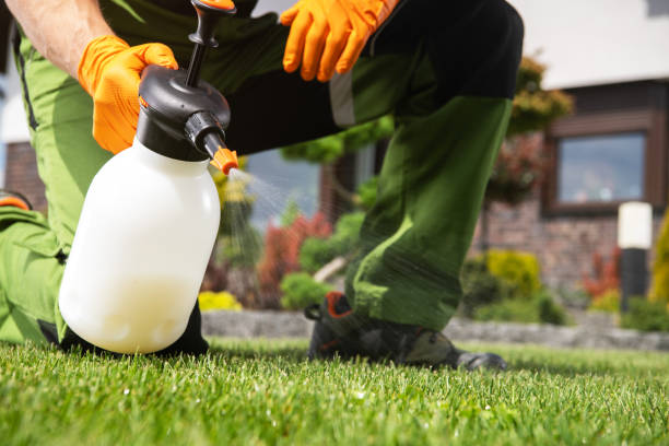 Best Pest Removal Services  in El Dorado, KS