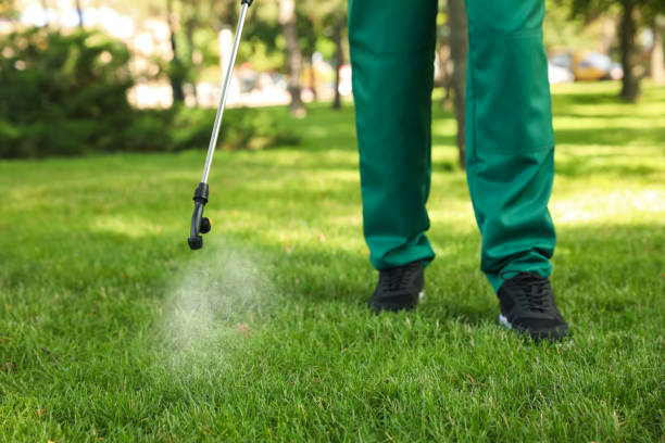 Best Residential Pest Control  in El Dorado, KS