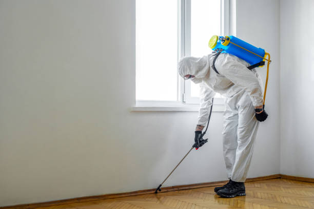 Best Best Pest Control Companies  in El Dorado, KS