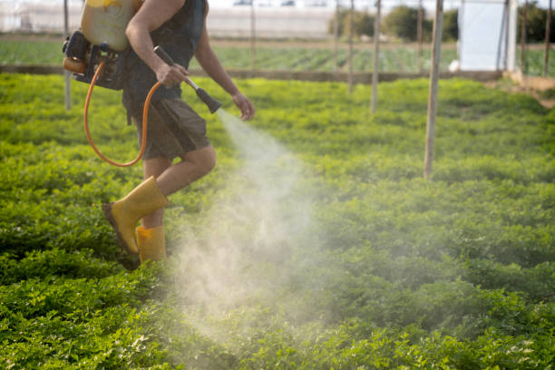 Best Pest Control for Restaurants  in El Dorado, KS