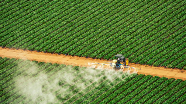 Best Pest Removal Services  in El Dorado, KS
