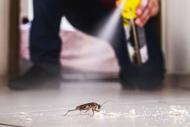 Best Best Pest Control Companies  in El Dorado, KS