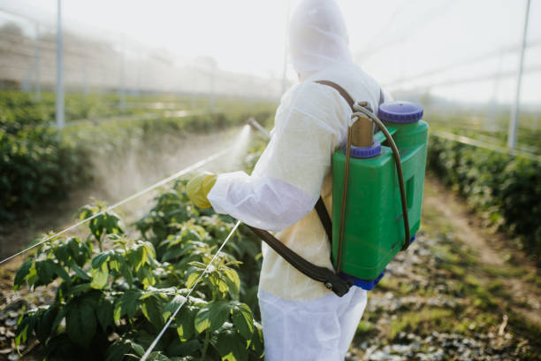 Pest Control for Restaurants in El Dorado, KS